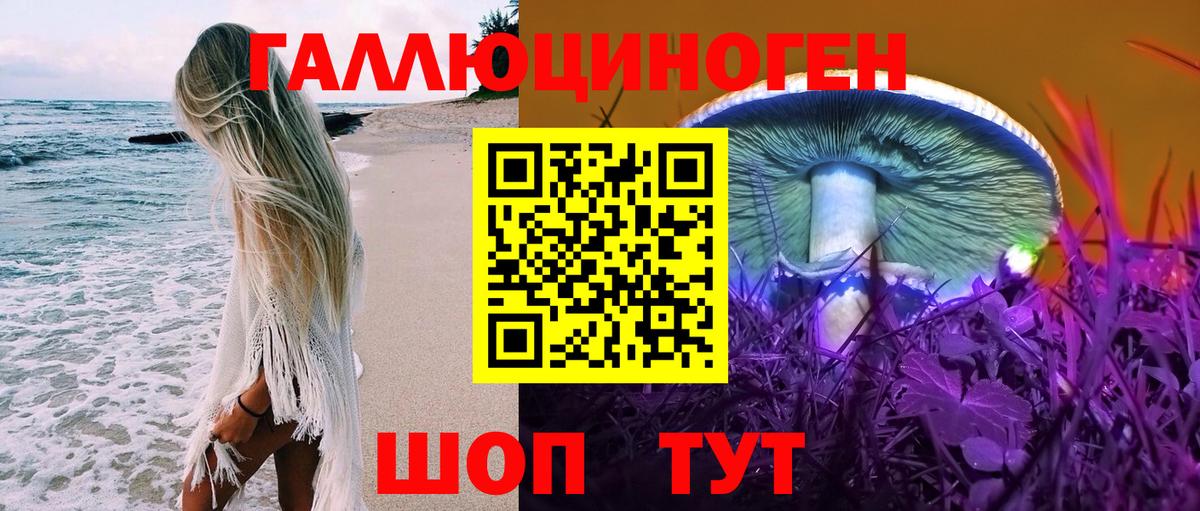 Королёв  Псилоцибиновые грибы прущие грибы  Псилоцибиновые грибы мухоморы  Вход с VPN 